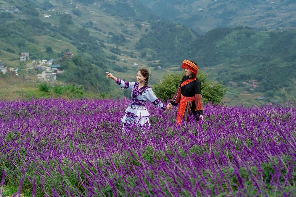 Fansipan lập kỷ lục 6 lần liên tiếp là ‘Điểm du lịch có thắng cảnh thiên nhiên hàng đầu thế giới’