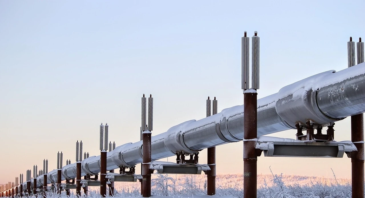 Hungary - Thổ Nhĩ Kỳ thắt chặt hợp tác năng lượng giữa căng thẳng Nga - EU