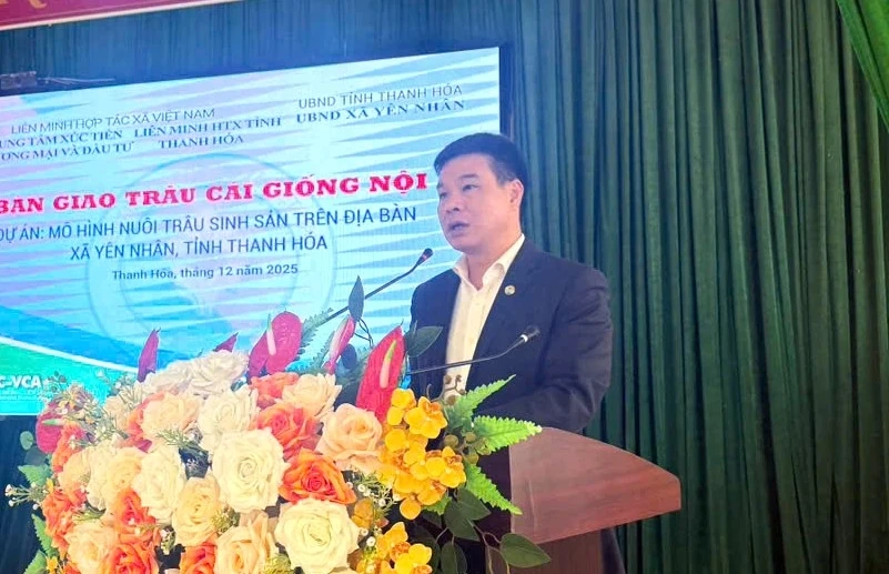 Bàn giao trâu giống sinh sản cho hộ nghèo, cận nghèo xã Yên Nhân