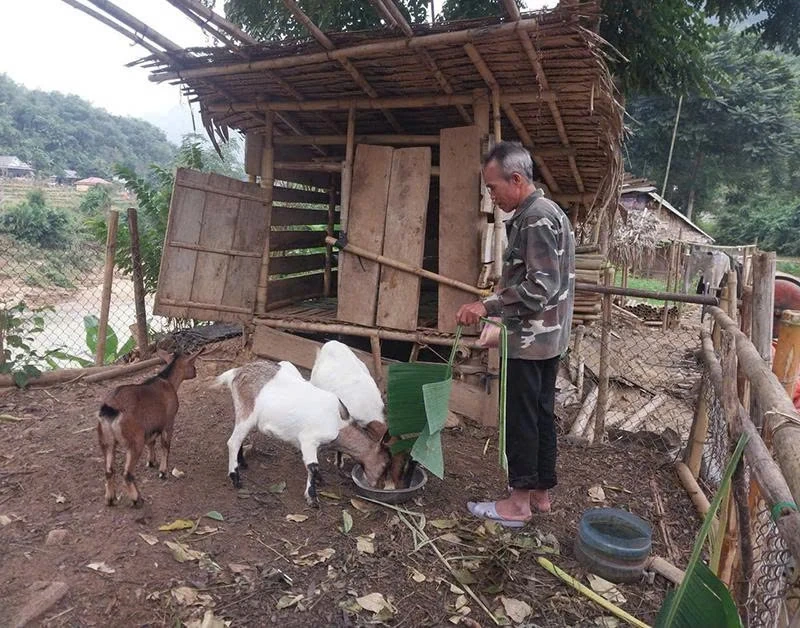 Tạo sinh kế bền vững cho hộ nghèo ở Nam Xuân