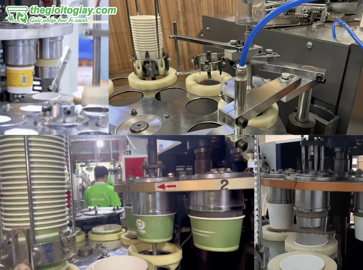 Thế Giới Tô Giấy - Xưởng sản xuất, in tô giấy đựng thực phẩm giá rẻ tại TPHCM