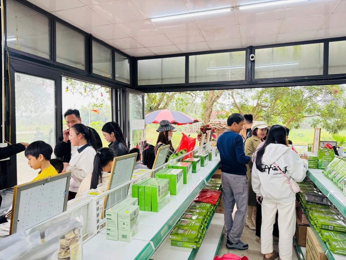 Thành nhà Hồ - Điểm đến hấp dẫn du khách dịp Tết Dương lịch 2026