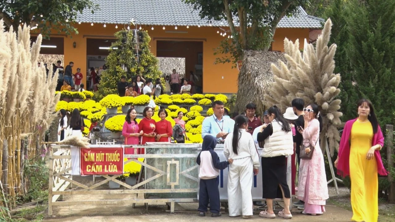 Du khách đổ về Khu du lịch Động Tiên Sơn trong kỳ nghỉ Tết Dương lịch