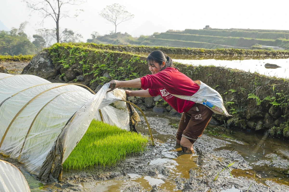 Ruộng bậc thang Pù Luông lung linh mùa nước đổ