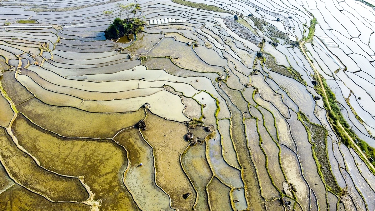 Ruộng bậc thang Pù Luông lung linh mùa nước đổ