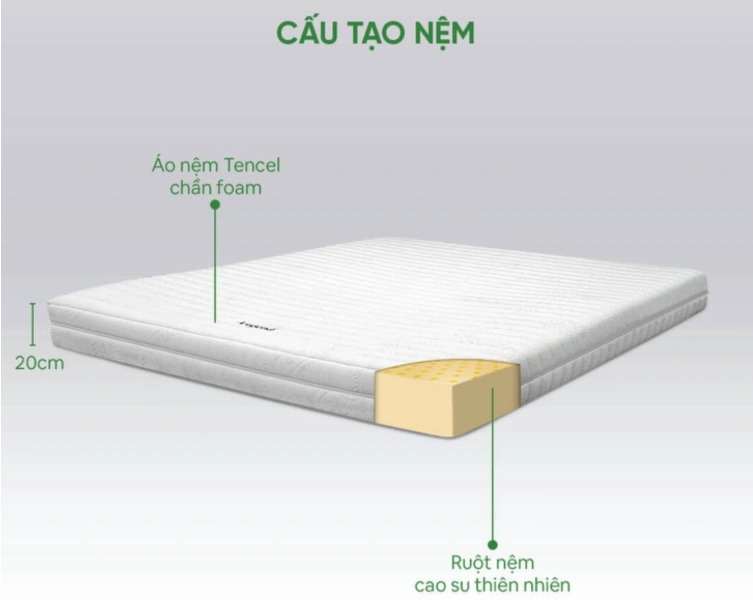 Có nên mua nệm cao su Gummi không?