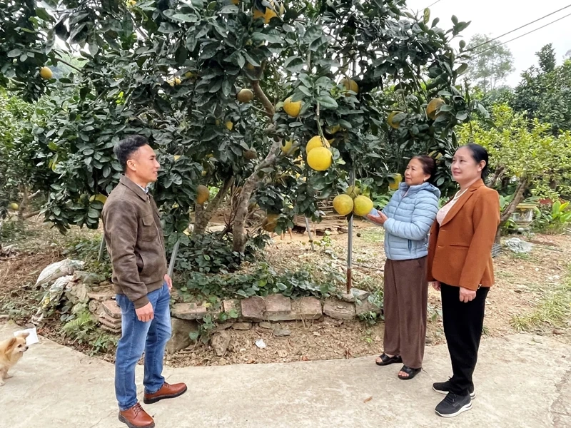 Biến nghị quyết thành hành động cụ thể