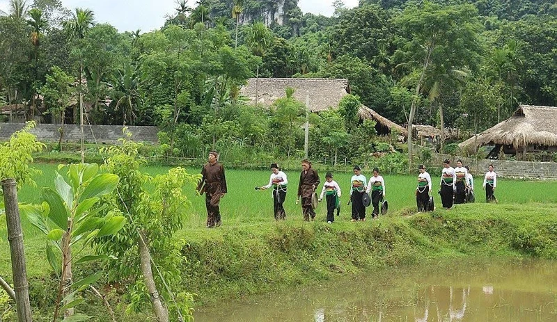 Sắc bùa rộn ràng vào xuân