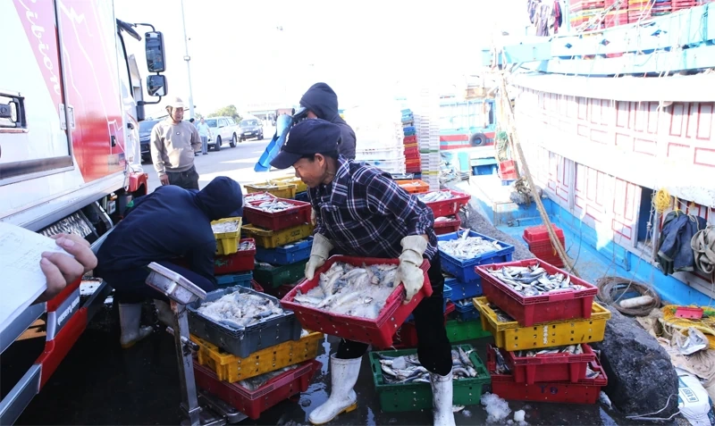 Siết chặt quản lý hoạt động thu mua thủy sản khai thác