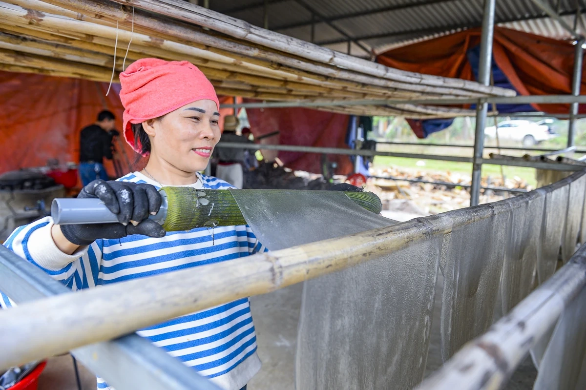 Vùng làm miến dong nổi tiếng ở xứ Thanh vào vụ Tết