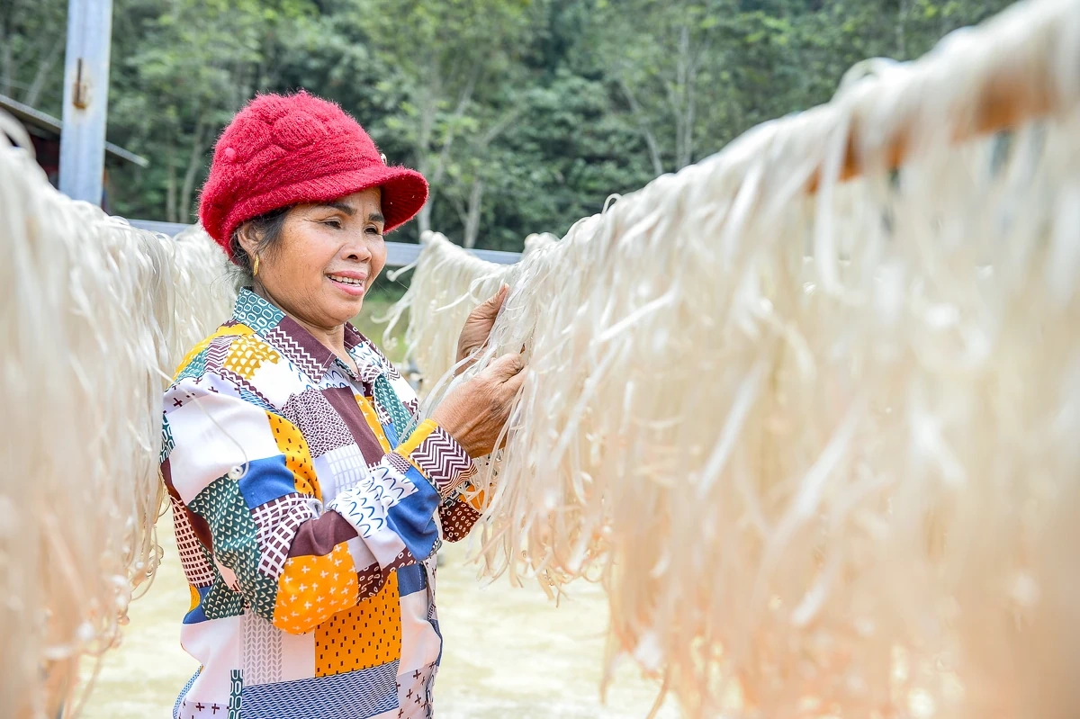 Vùng làm miến dong nổi tiếng ở xứ Thanh vào vụ Tết