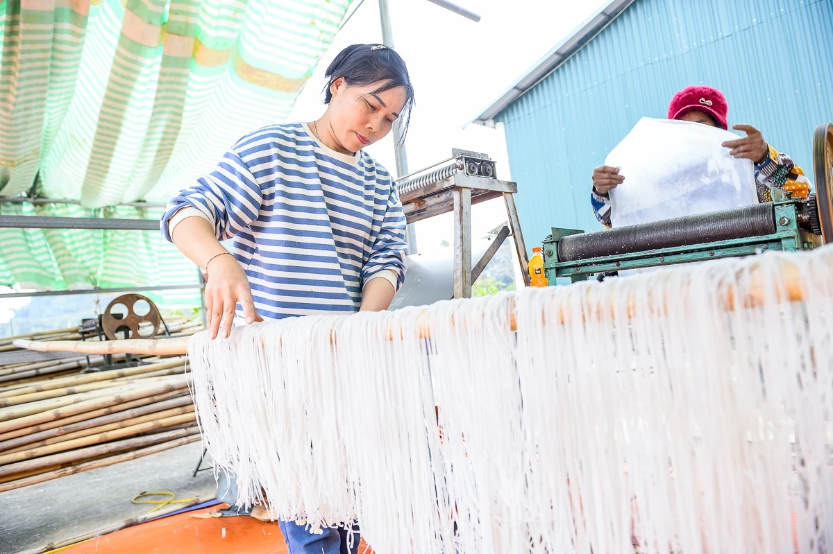 Vùng làm miến dong nổi tiếng ở xứ Thanh vào vụ Tết