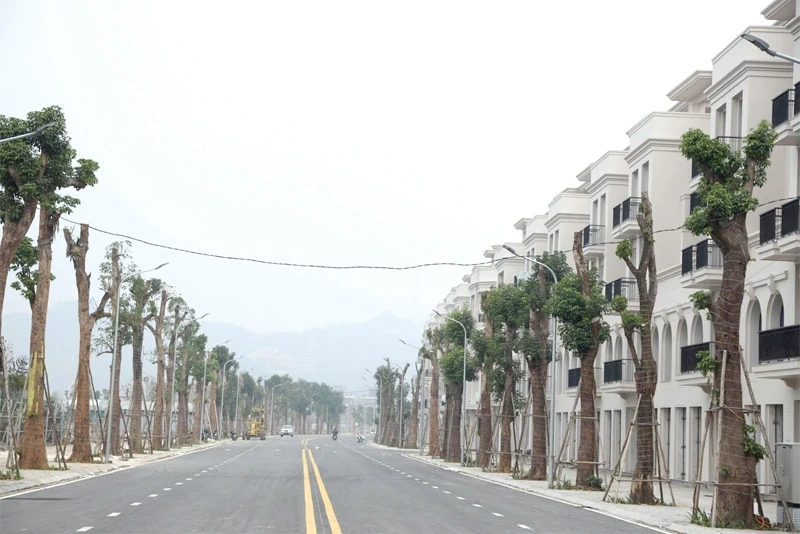 Thị trường bất động sản: Nguồn cung dồi dào, người mua khó tiếp cận