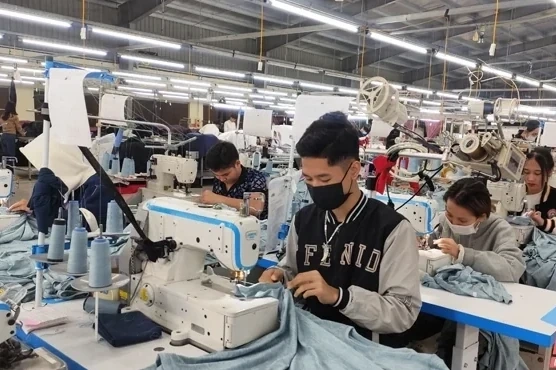 Năm 2026, kiểm tra lao động, ATVSLĐ, BHXH tại 15 doanh nghiệp trên địa bàn tỉnh