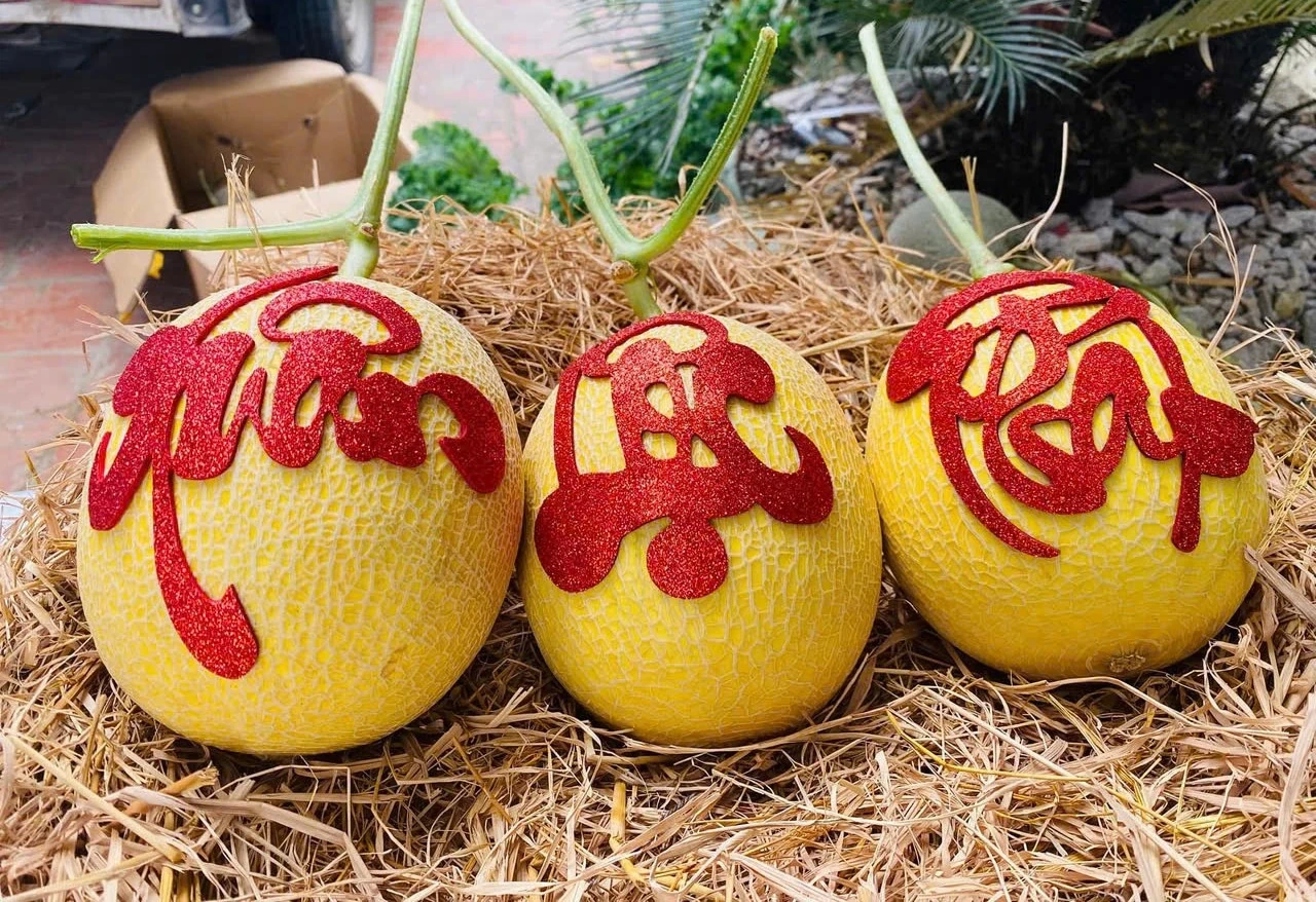 Gần 100 sản phẩm tiêu biểu tỉnh Thanh Hóa tham gia Hội chợ Mùa Xuân 2025