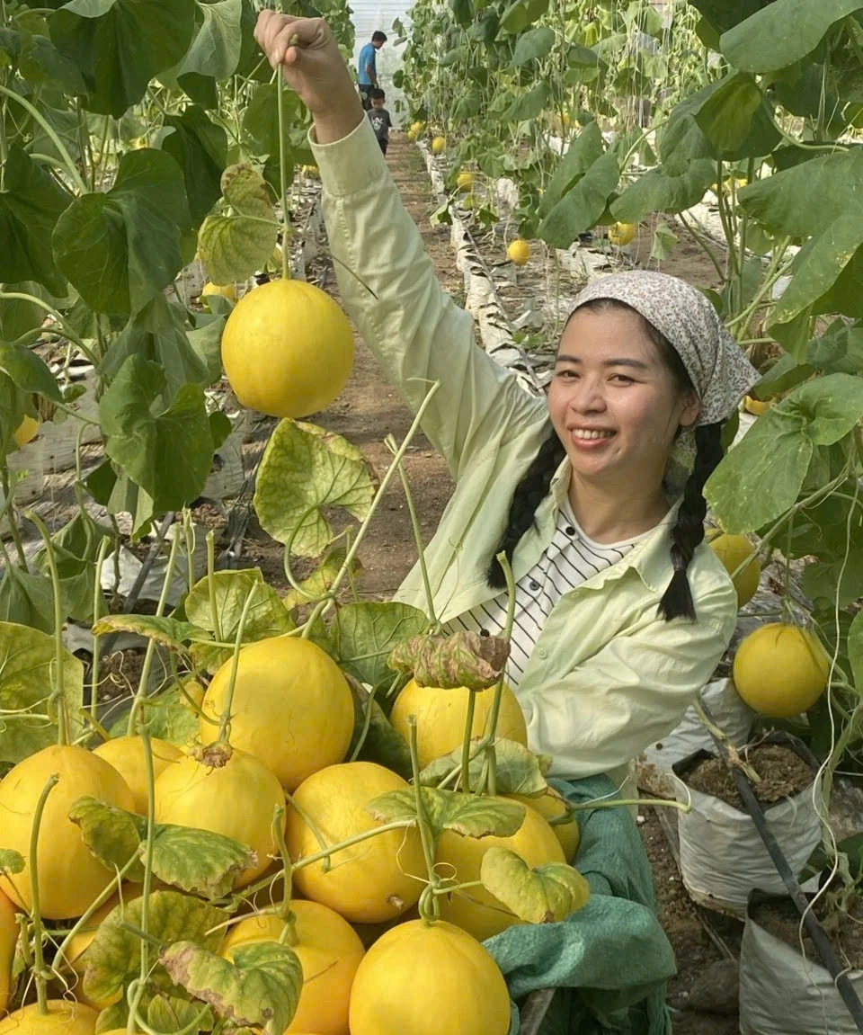Gần 100 sản phẩm tiêu biểu tỉnh Thanh Hóa tham gia Hội chợ Mùa Xuân 2025