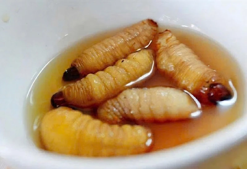 Một bệnh nhân sốc phản vệ sau khi ăn đuông dừa