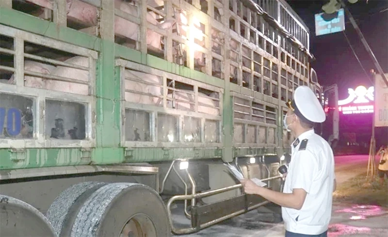 Giữ “nhịp đập” an toàn cho ngành chăn nuôi