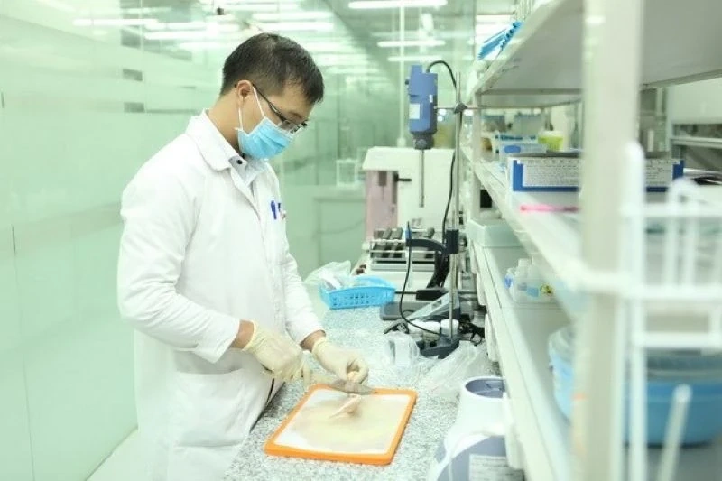 Danh sách 6 cơ quan kiểm tra nhà nước về an toàn thực phẩm nhập khẩu