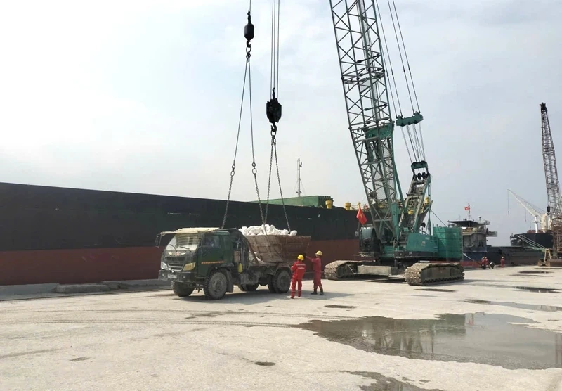 Nhịp xuân trên bến cảng