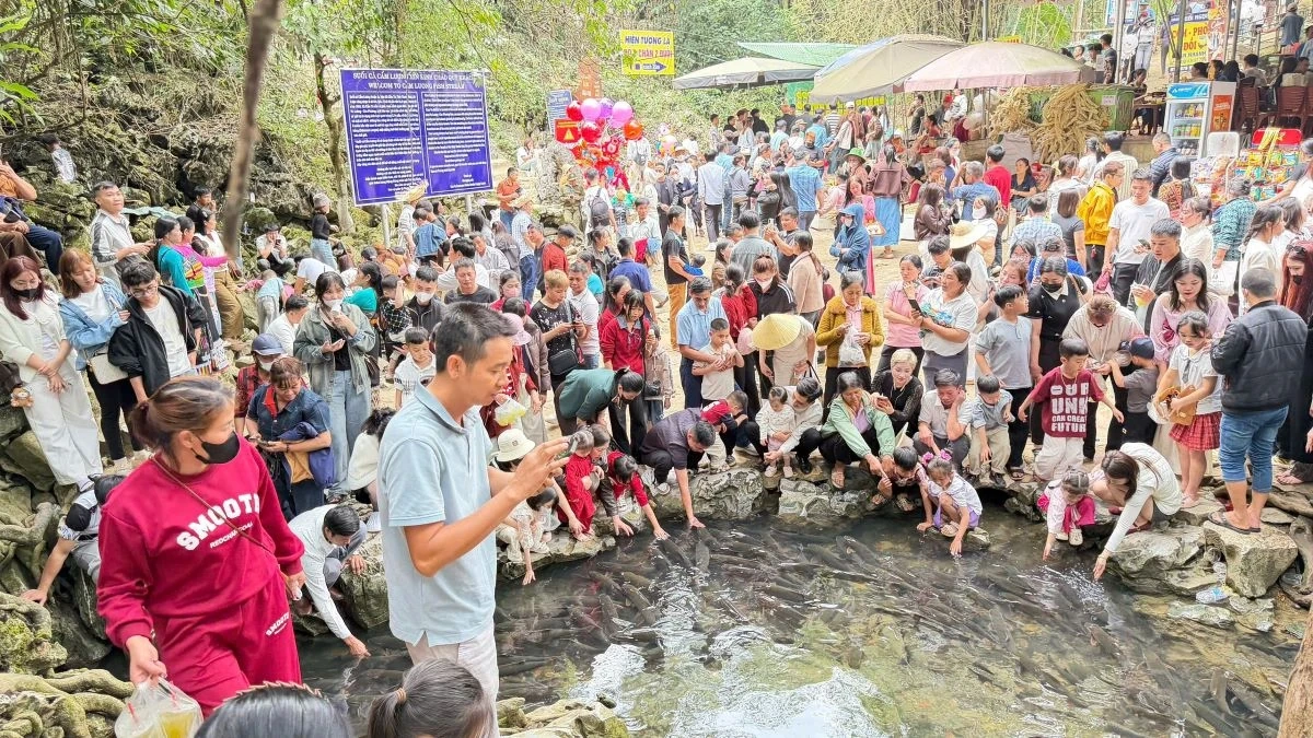 Du xuân ở Khu du lịch suối cá thần Cẩm Lương