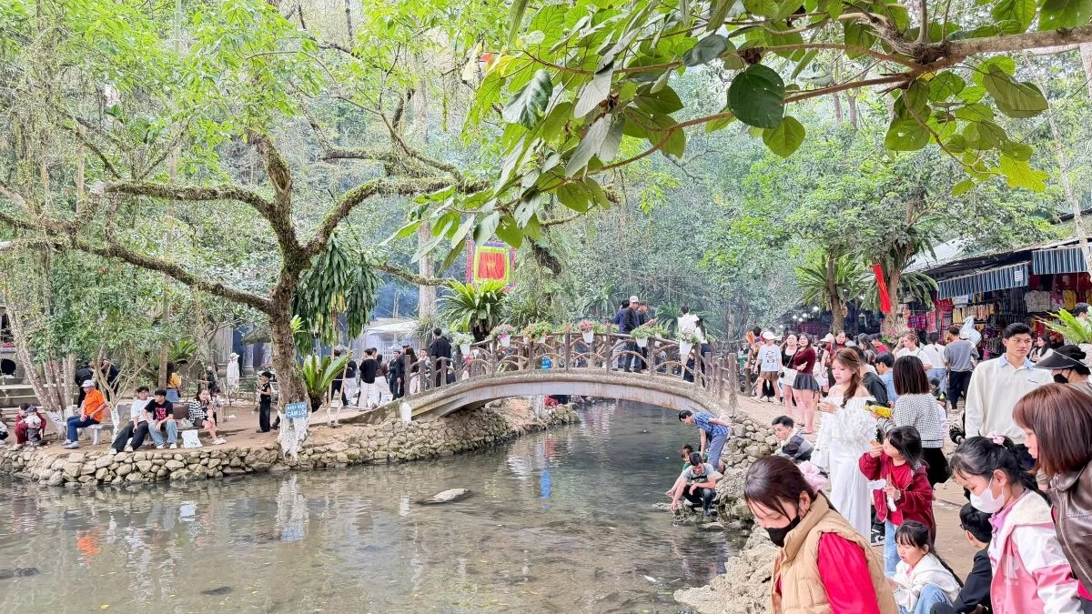 Du xuân ở Khu du lịch suối cá thần Cẩm Lương