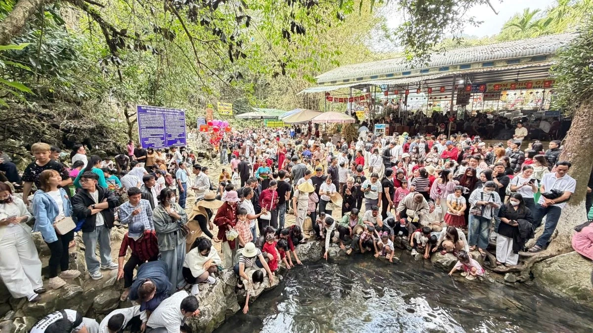 Du xuân ở Khu du lịch suối cá thần Cẩm Lương