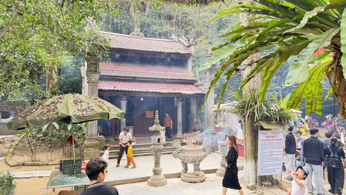 Du xuân ở Khu du lịch suối cá thần Cẩm Lương