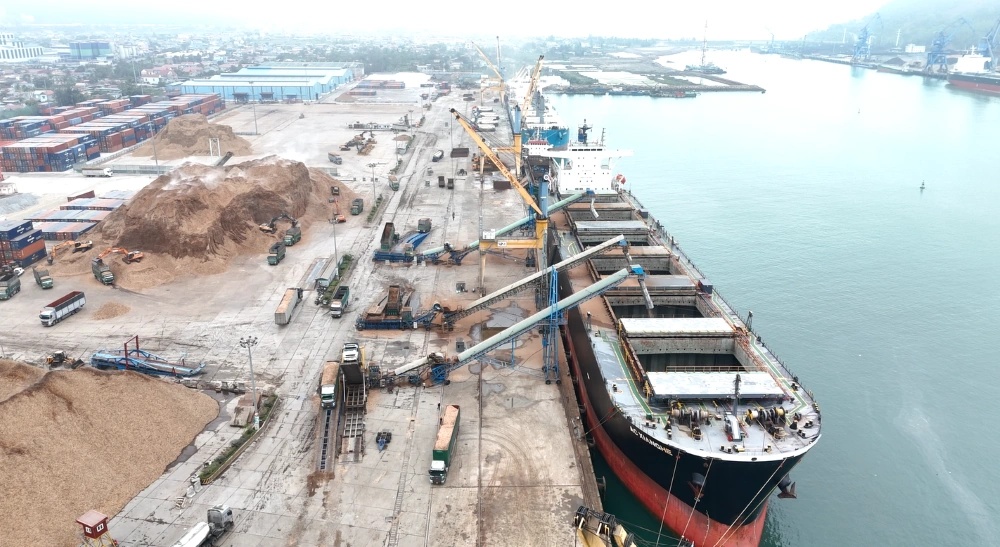 Nhộn nhịp trên cầu cảng