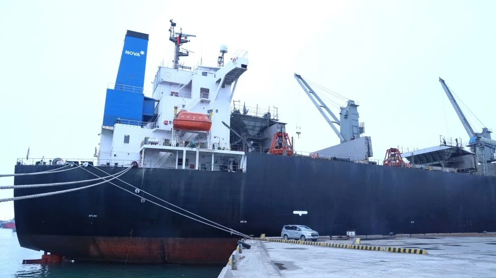 Nhộn nhịp trên cầu cảng