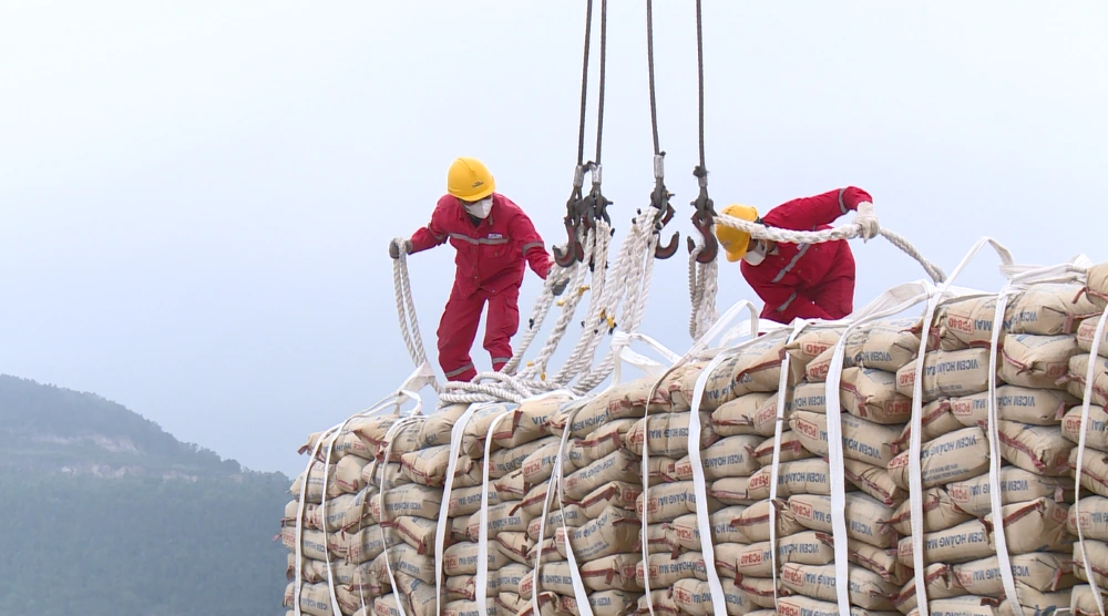 Nhộn nhịp trên cầu cảng