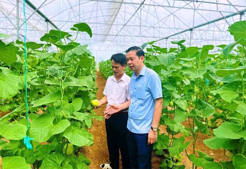 Nga Thắng đưa nghị quyết vào cuộc sống