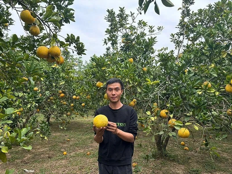 Khát vọng khởi nghiệp trên vùng đất khó