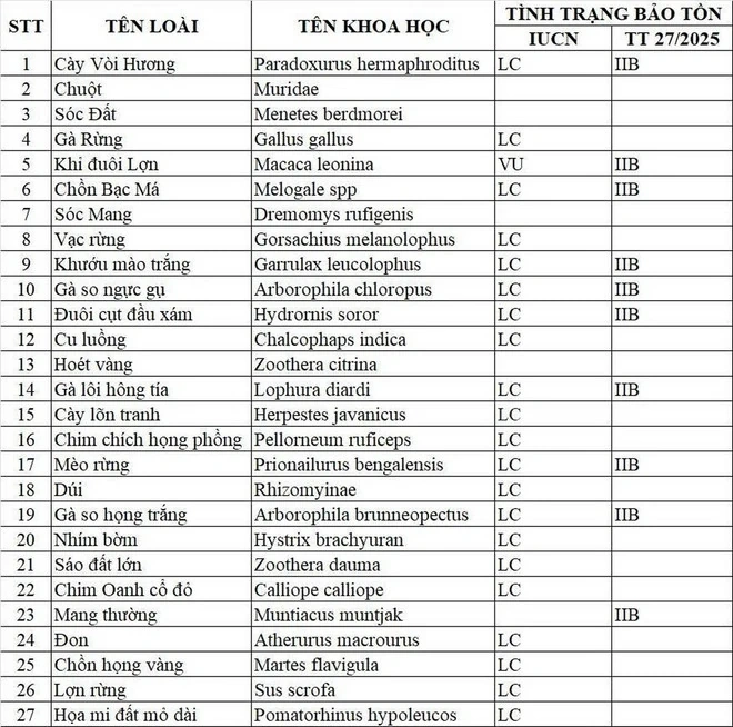 Ghi nhận 27 loài động vật hoang dã trong rừng bảo vệ di tích Văn hoá thế giới Mỹ Sơn