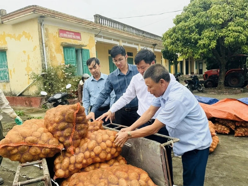 Phát triển vùng sản xuất cây trồng phục vụ chế biến