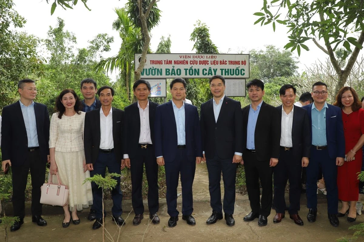 Đổi mới tư duy, đẩy mạnh bảo tồn cây dược liệu gắn với hình thành chuỗi giá trị bền vững