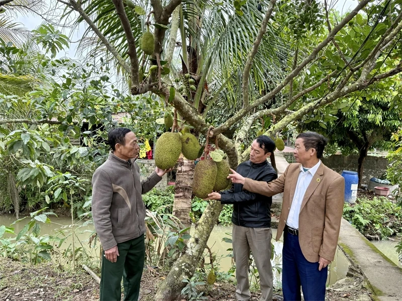 Người cao tuổi xã Thiệu Trung phát huy vai trò tuổi cao - gương sáng