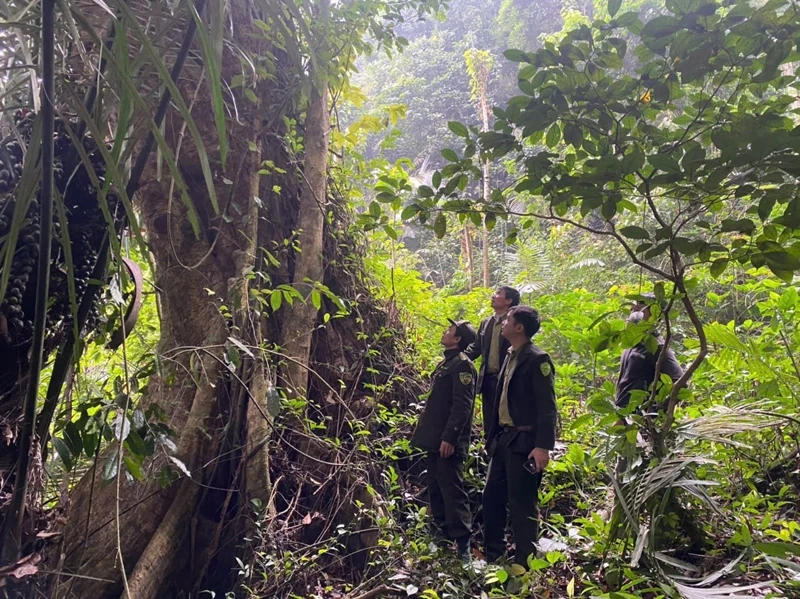 Hạt Kiểm lâm Lang Chánh tăng cường bảo vệ và phát triển rừng