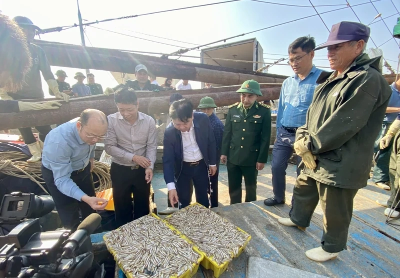 Tuân thủ quy định cập cảng chỉ định để phát triển nghề cá bền vững