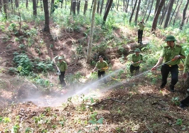 Triển khai đồng bộ các giải pháp, tăng cường công tác phòng cháy, chữa cháy rừng