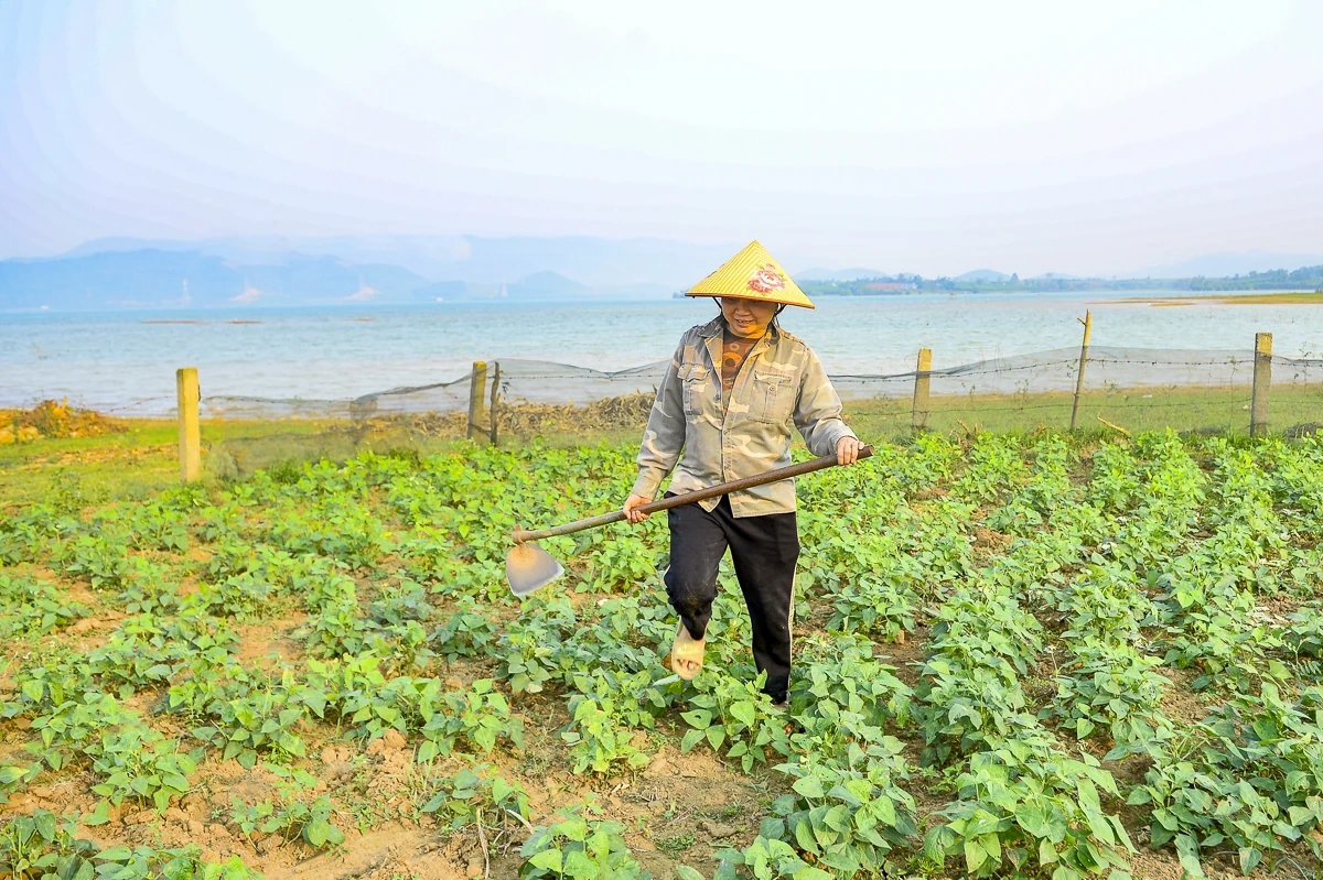 Hồ Yên Mỹ - “viên ngọc xanh” thức giấc