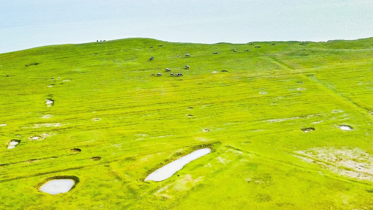 Hồ Yên Mỹ - “viên ngọc xanh” thức giấc