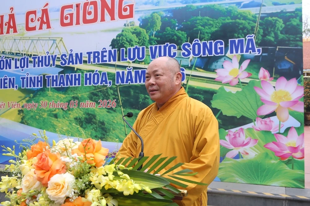 Thả hơn 2 tấn cá giống tái tạo, phát triển nguồn lợi thuỷ sản tại lưu vực sông Mã