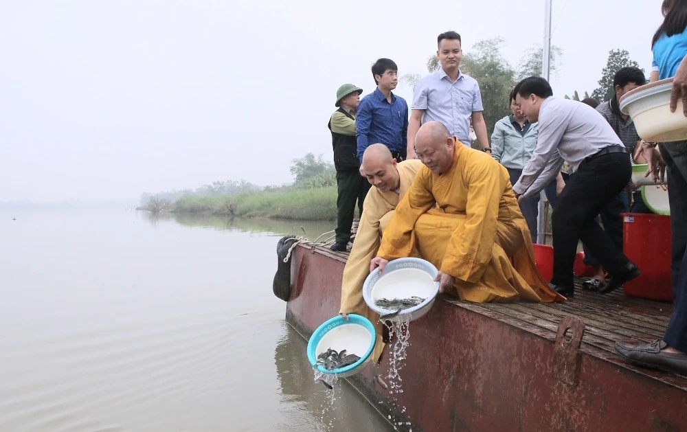Thả hơn 2 tấn cá giống tái tạo, phát triển nguồn lợi thuỷ sản tại lưu vực sông Mã
