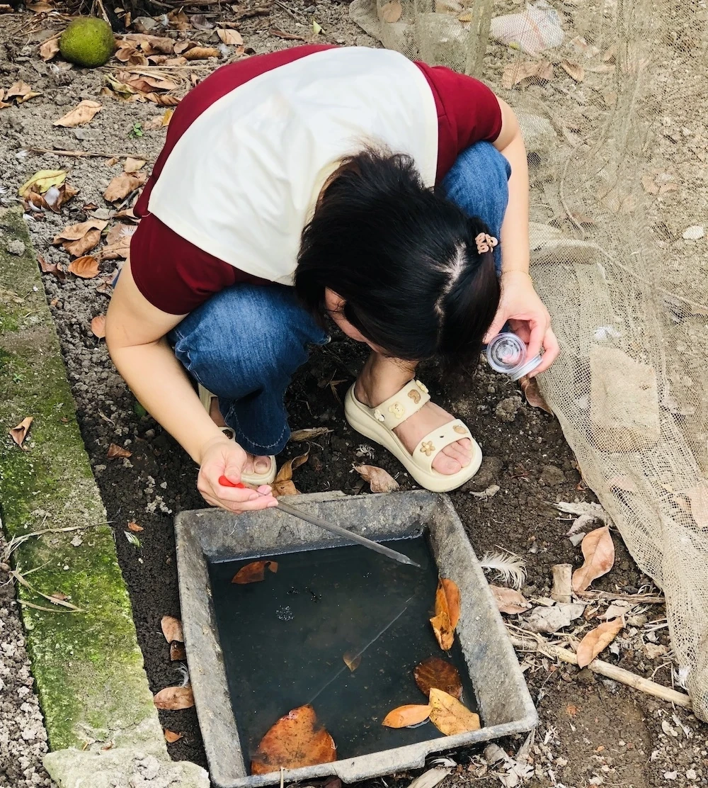 Tăng cường giám sát, chủ động phòng, chống sốt xuất huyết