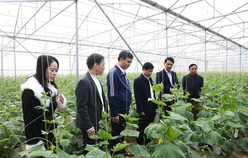 “Nông dân muốn giàu, nông nghiệp muốn thịnh thì cần phải có hợp tác xã”