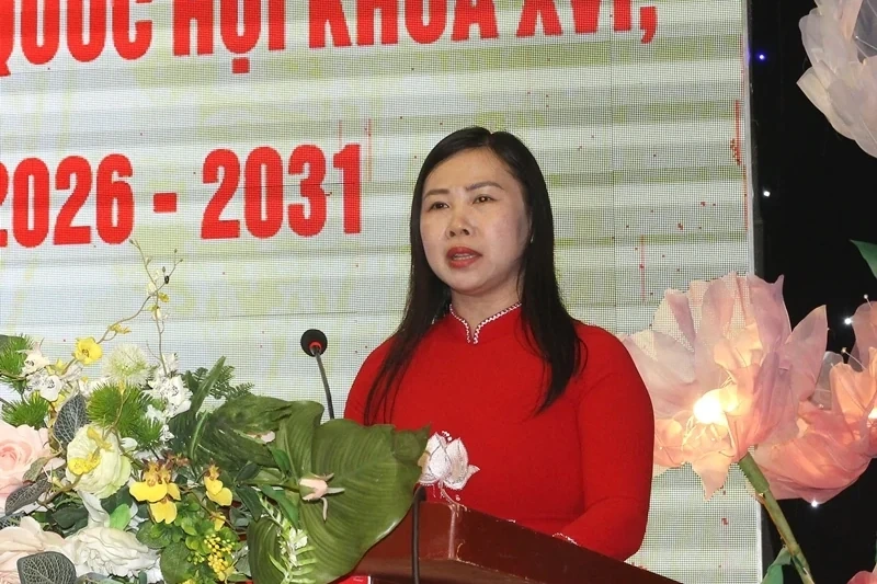 Tổng kết công tác Mặt trận tham gia bầu cử ĐBQH khóa XVI và đại biểu HĐND các cấp