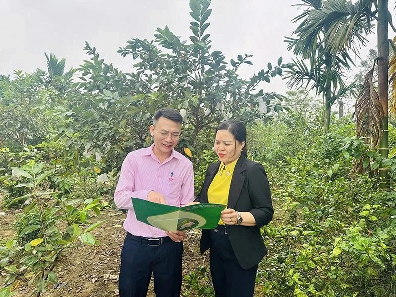 Đưa vốn đến với hộ nghèo và các gia đình chính sách