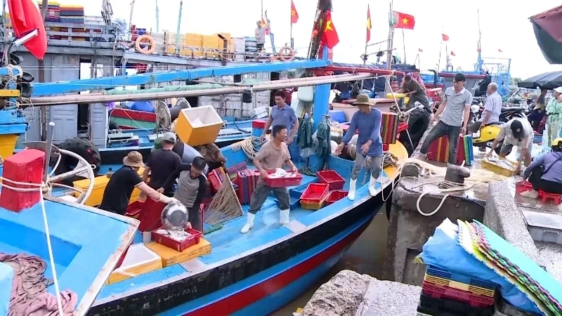 Thanh Hóa ban hành kế hoạch điều tra, đánh giá nghề cá thương phẩm