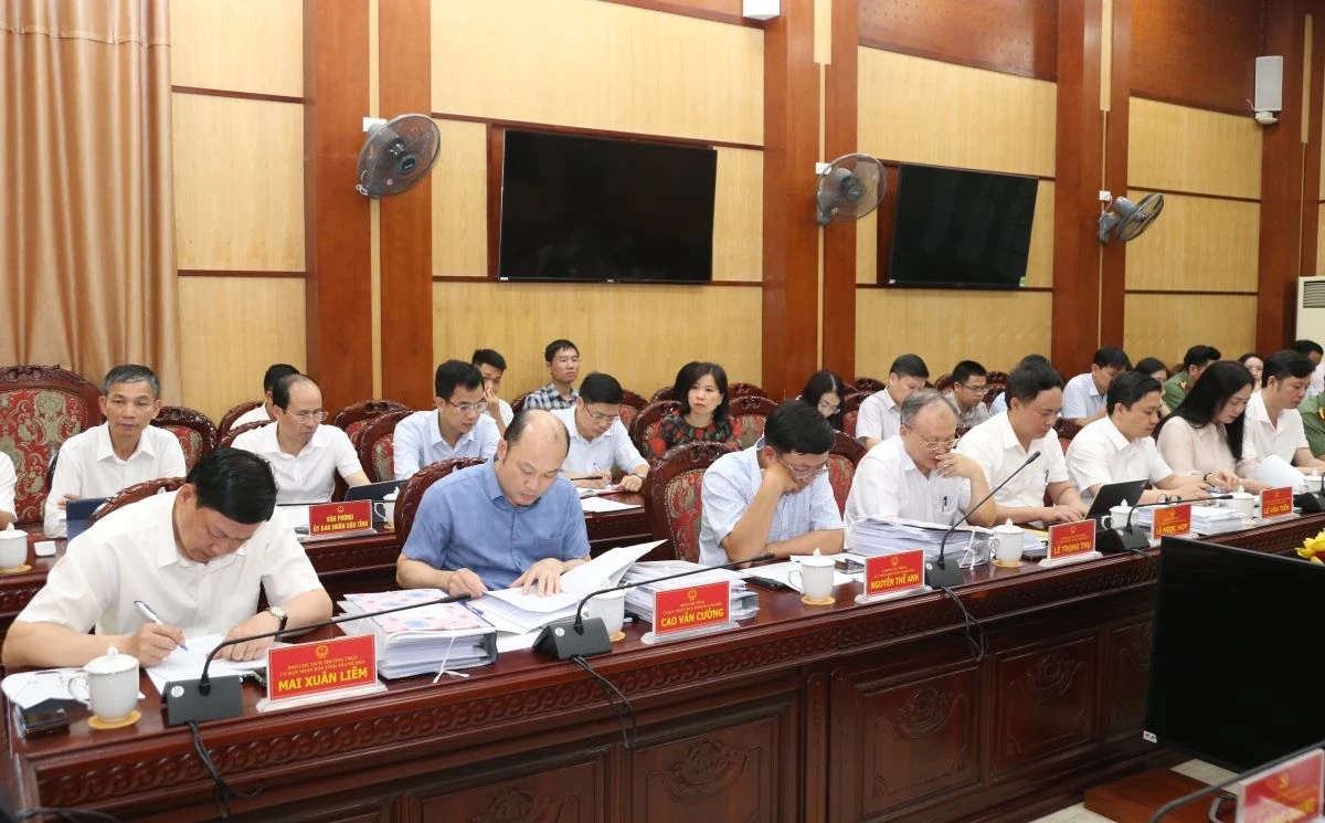 Thảo luận, cho ý kiến vào các chương trình, kế hoạch, chính sách thúc đẩy phát triển kinh tế - xã hội